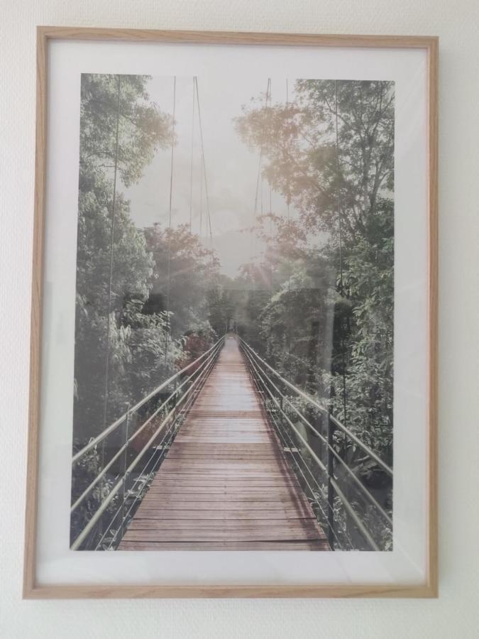 Le Paquier - Mycosyapart, Vieille Ville, Calme, Lac 100M, Netflix Annecy Exteriör bild